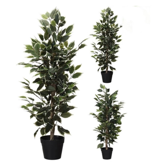 Overige Merken Kunstplant Ficus 95 Cm Groen/Wit