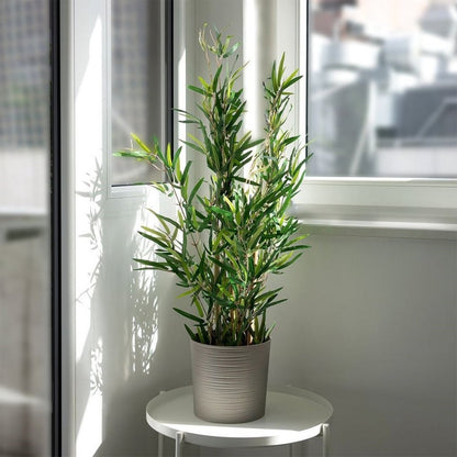 Home & Styling Kunstplant Bamboe 90 Cm Groen